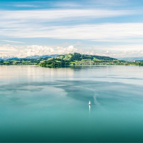 MP_Website_Stimmungsbild